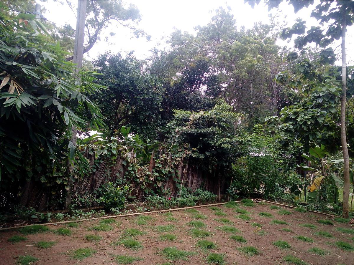 Thuruliya Residence Sigiriya Eksteriør billede